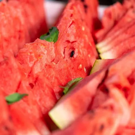 Prestige Ii Hotel apartamentowy Primorsko